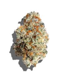 Close up of the weed flower slurricane, very frosted with an orange and green color